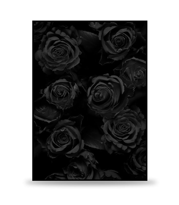 DARK ROSES POSTER