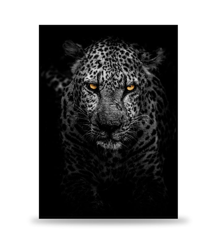 DARK CHEETAH POSTER