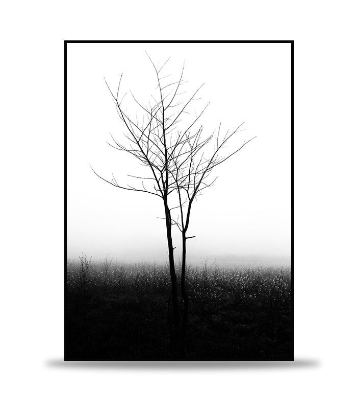 Lonely tree