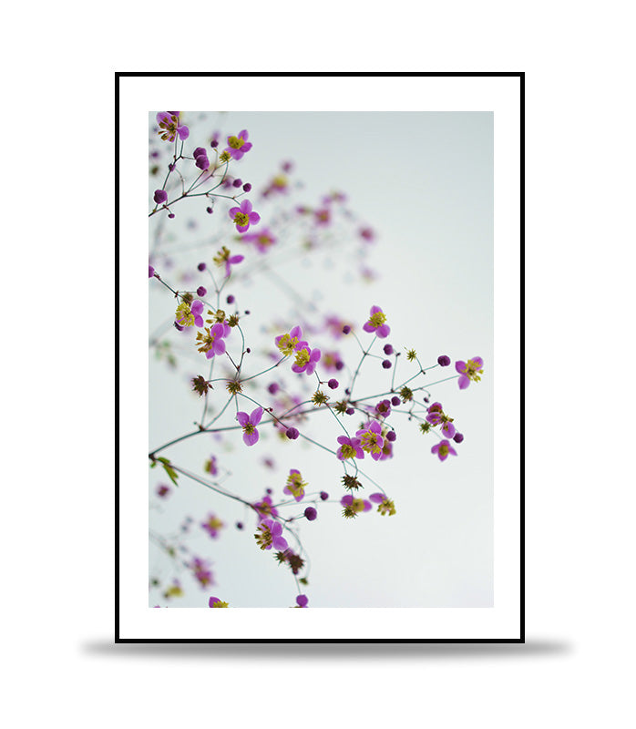 Lightpurple Flowers Poster