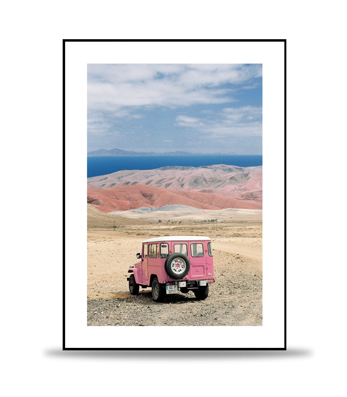 The Pink Van Poster