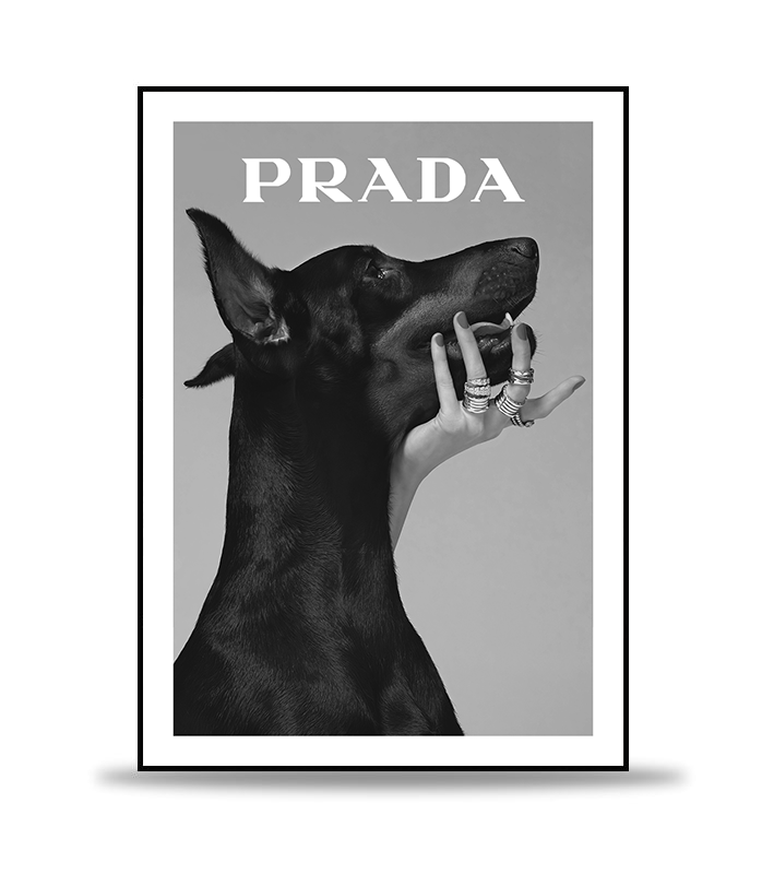 Prada Dog Poster