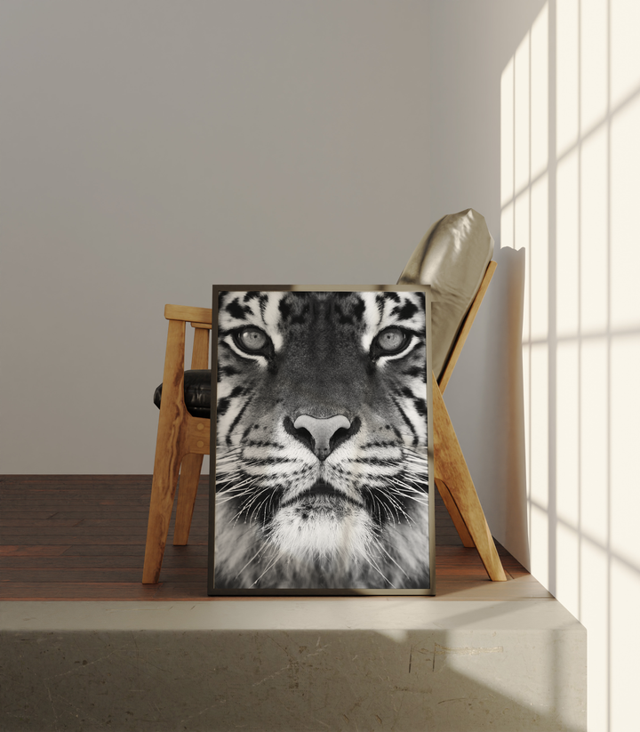 Un Tigre Poster