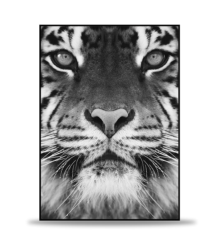 Un Tigre Poster