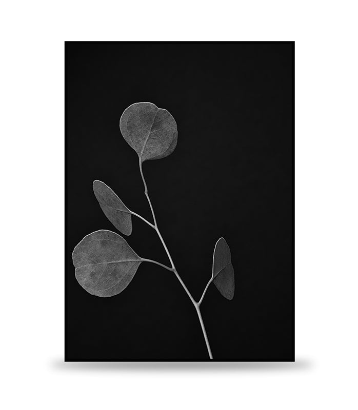 DARK LEAVES POSTER